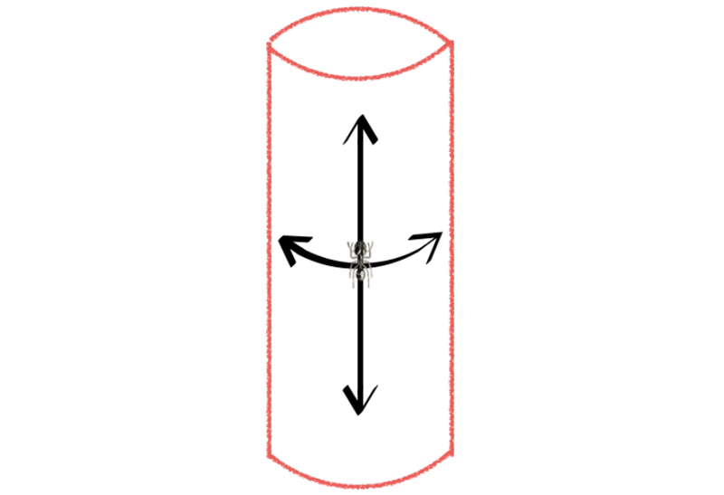 Illustration for article titled A 19th Century Math Genius Taught Us The Best Way To Hold Pizza